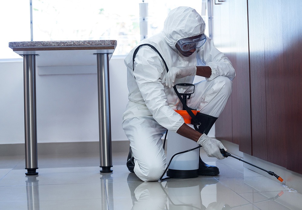 When Should You Call Pest Control?