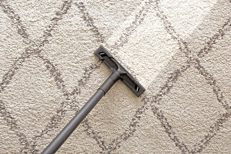 Professional Carpet Care Tips